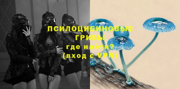 тгк Алексин