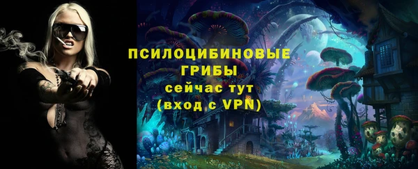 прущая мука Алзамай