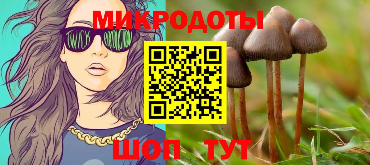 Псилоцибиновые грибы прущие грибы Ахтубинск