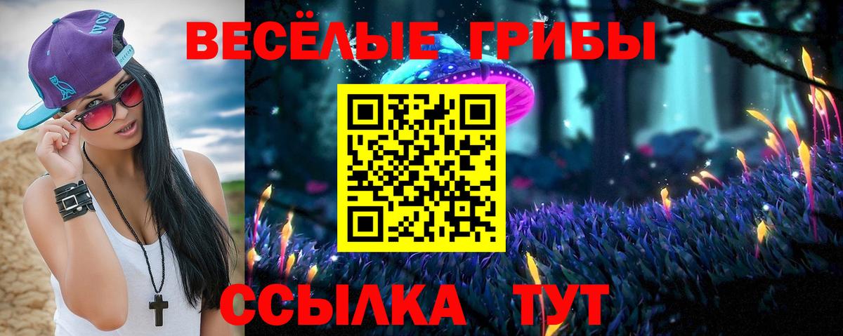 Ахтубинск  Галлюциногенные грибы GOLDEN TEACHER  Вход с VPN 